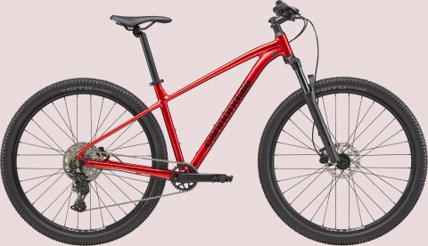 CANNONDALE Trail 2